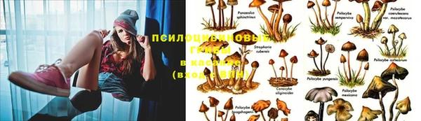 бутират Елабуга
