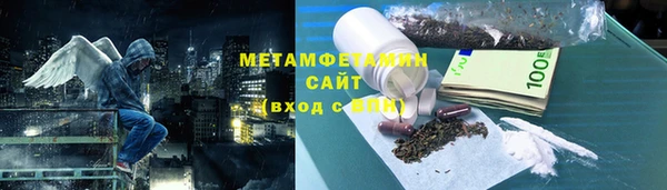 гидра Елизово