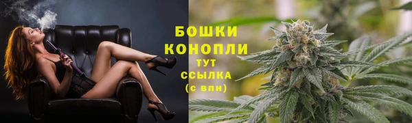 гидра Елизово