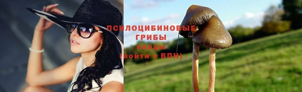 бутират Елабуга