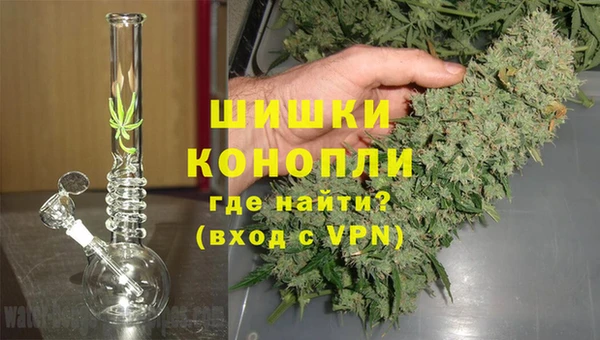 гидра Елизово