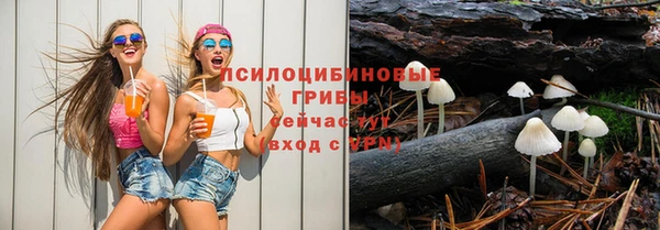гидра Елизово