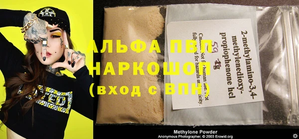 гидра Елизово