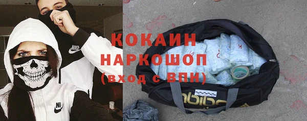 гидра Елизово